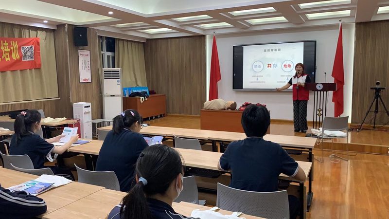 职业培训与学历教育：就业导向下的选择之道